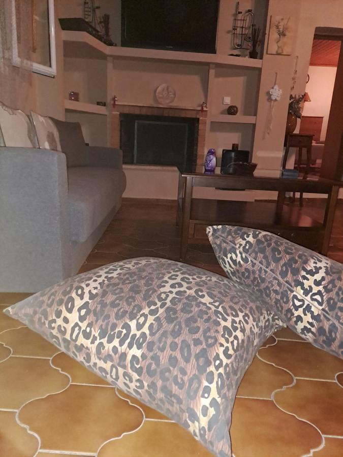 Spiros Corfu Apartment Kanálion 外观 照片